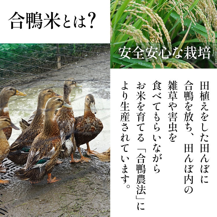 5 新米 岡山県産 有機栽培 合鴨米 玄米10㎏