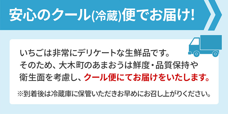 【ふるさと納税】ジャム用あまおう1kg or 2kg いちご イチゴ 苺  ジャム用  訳あり 福岡県 大木町 池上農園 BD-S0002 【2024年2月中旬から5月10日頃を目途に発送予定】 BD07 BD08 お得商品