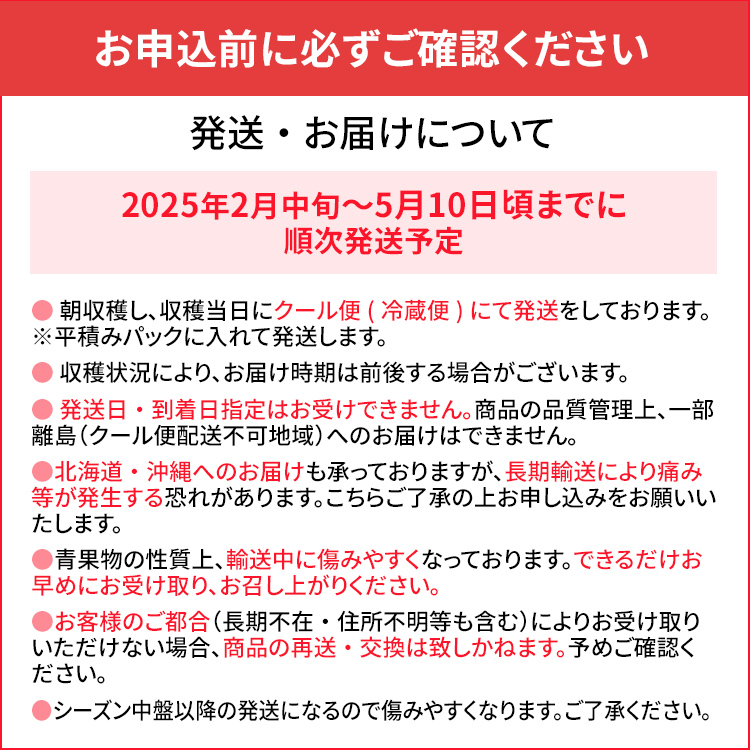 【ふるさと納税】ジャム用あまおう1kg or 2kg いちご イチゴ 苺  ジャム用  訳あり 福岡県 大木町 池上農園 BD-S0002 【2024年2月中旬から5月10日頃を目途に発送予定】 BD07 BD08 お得商品