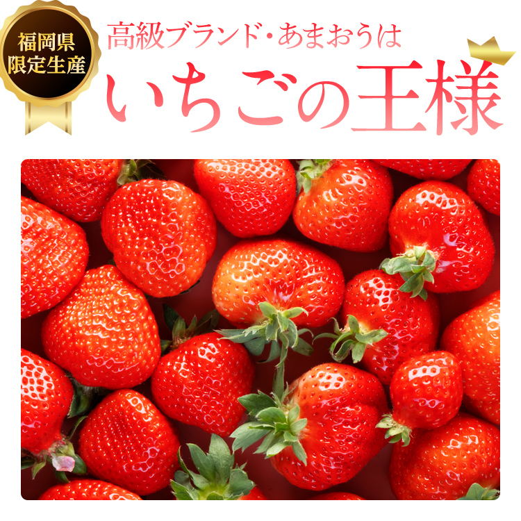 【ふるさと納税】あまおう苺500gとコンフィチュール120ｇ×3個のセット いちご イチゴ 苺  ジャム用 福岡県 大木町 池上農園 BD13 2024年1月～5月10日頃にかけて順次発送予定 海外の正規