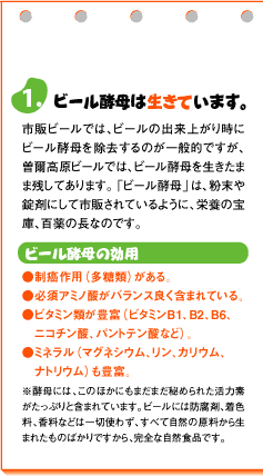 お持たせ お取り寄せ 手土産 もつ鍋 曽爾高原ビール 3種各２本 合計6本 お歳暮 ギフト プレゼント お歳暮ギフト お歳暮プレゼント 早割 食べ物 実用的 ビールギフト 鍋セット ビール おつまみセット クラフトビール 飲み比べ パーティー 内祝い 贈り物 お歳暮 御歳暮 お年賀｜ファームガーデン　ネットショップ