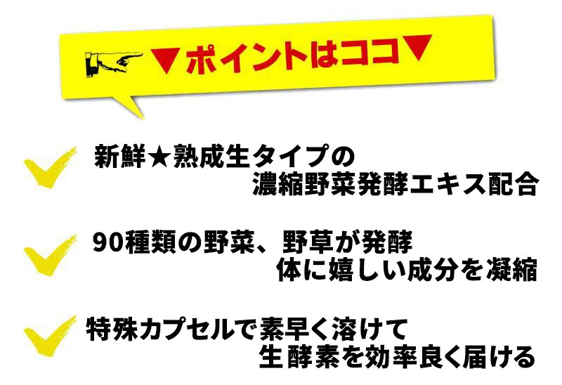 新鮮生酵素ダイエット[メール便対応商品]送料込 酵素 酵素サプリ サプリメント サプリ やさい酵素エンザイム 野菜 野菜酵素 野草酵素 健康[賞味期限 2025年1月] 送料込みライン