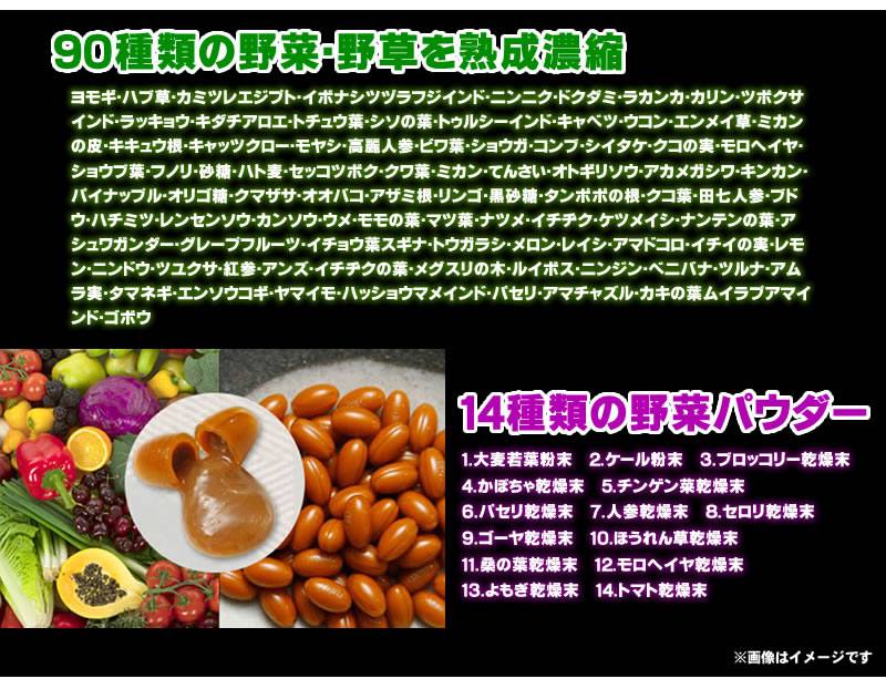 新鮮生酵素ダイエット[メール便対応商品]送料込 酵素 酵素サプリ サプリメント サプリ やさい酵素エンザイム 野菜 野菜酵素 野草酵素 健康[賞味期限 2025年1月] 送料込みライン