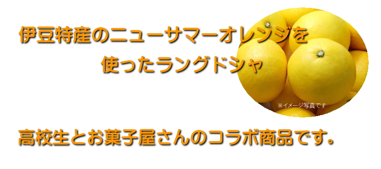 楽天市場】【伊豆】☆ニューサマーオレンジ ラングドシャ（個別包装10枚）【ヤマト運輸宅急便】【浄蓮の滝】静岡土産 伊豆土産 おすすめ土産 SDGs  高校生 氏原製菓 地域活性化 共同開発 伊豆特産ニューサマーオレンジ : 伊豆多来本舗