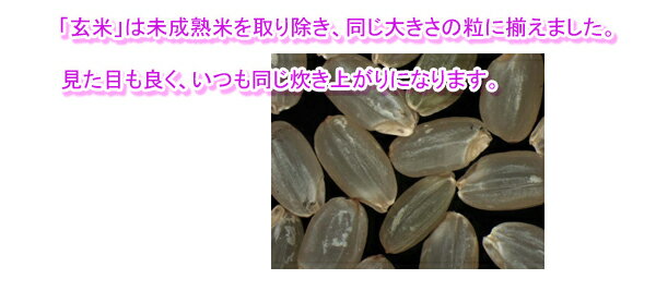 だから ミルキークイーン 10kgお届け 送料無料広島県産ミルキークイーン5kg 棚田の自然農法米 令和4年産 新米予約 1等米：かきもと米穀のよしだ小町 5kg 当社最高級一流米 5kgお買上で 5kgプレゼント ㈦めても