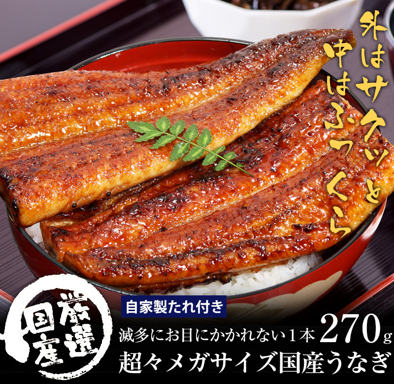 特価 かわすい うなぎ 10本 お重１つ 冷凍便 1セットのみ 魚介類 加工食品 Labelians Fr