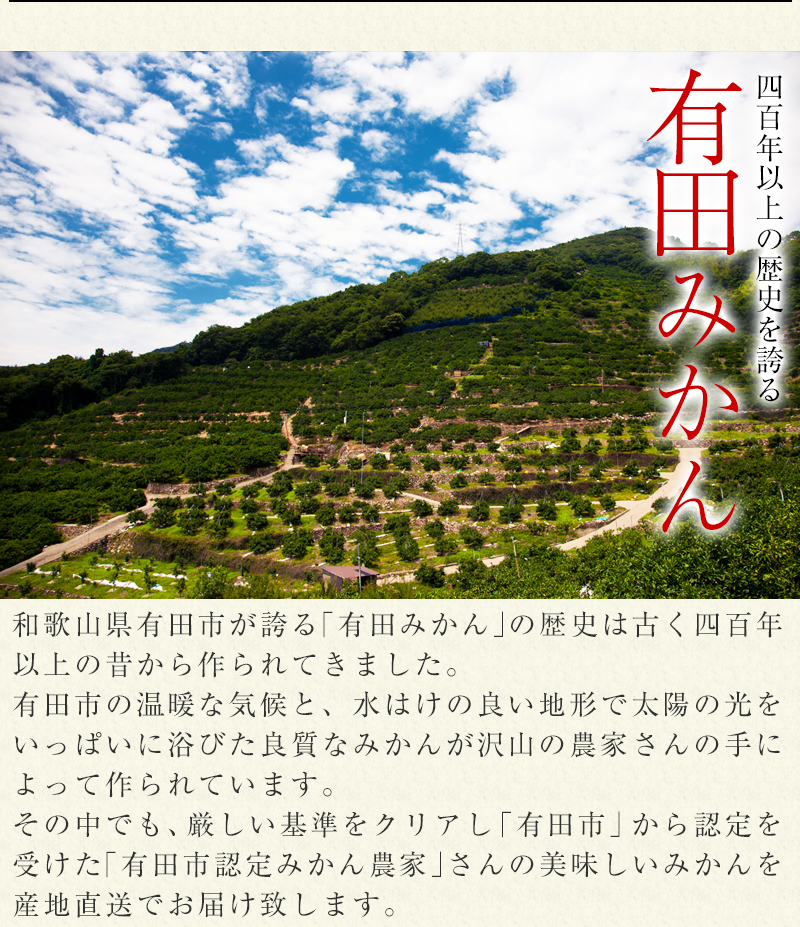 [予約販売 11月上旬以降発送]数量限定 寺嶋さんの有田みかん 極早生 ゆら早生 和歌山 ミカン 蜜柑 みかん 有田ミカン 小玉 小粒 訳あり 有田市認定みかん農家 3kg 3キロ 5kg 5キロ 海外正規品激安通販