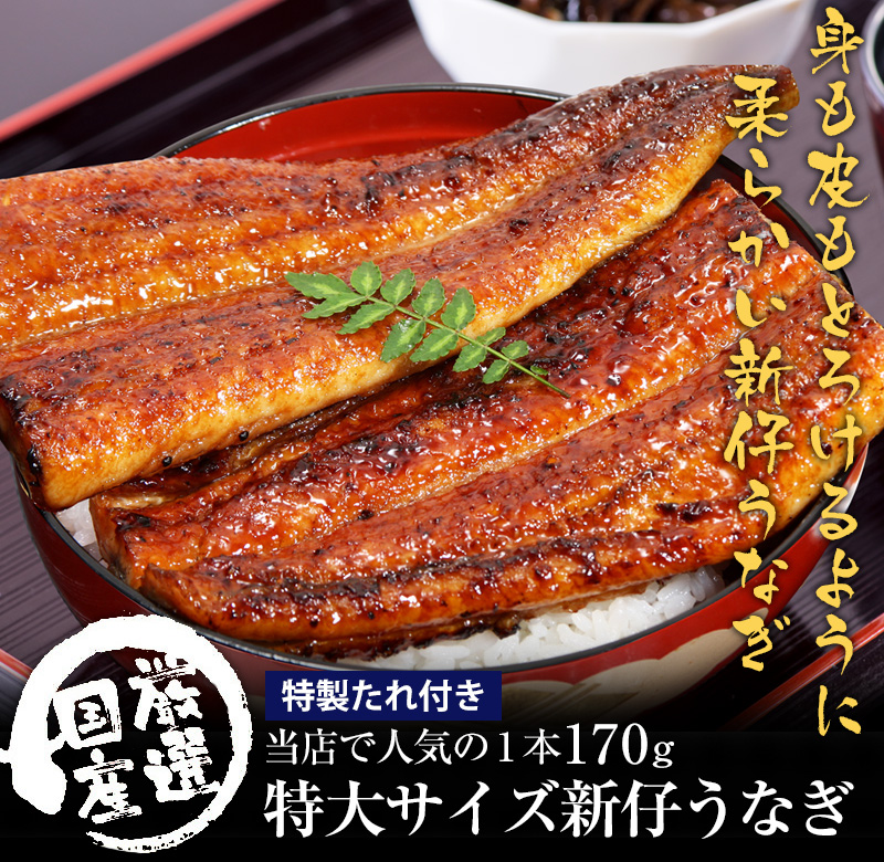 楽天市場】[ 旬の新仔うなぎ]国産特大新仔うなぎ蒲焼き 170g×3本[ ウナギ 鰻 蒲焼き 蒲焼 国産 国内産 秋の土用丑 土用の丑の日 秋の味覚  秋グルメ 冷凍食品 ひつまぶし ][MP] : うなぎ屋かわすい 川口水産