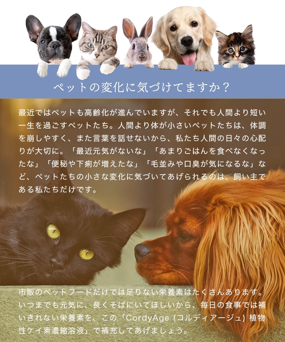 楽天市場 3本セット 食欲 冬虫夏草 シリカ原液 犬猫 サプリ 犬用 猫用 サプリメント コルディアージュ 75ml 約30日分 免疫力 免疫 の健康を維持 老犬 老猫 シニア ねこ いぬ ネコ 元気度 高める うさぎ 兎 ペット シリカ シリカ水 原液 ボタニカルケイ素 送料無料