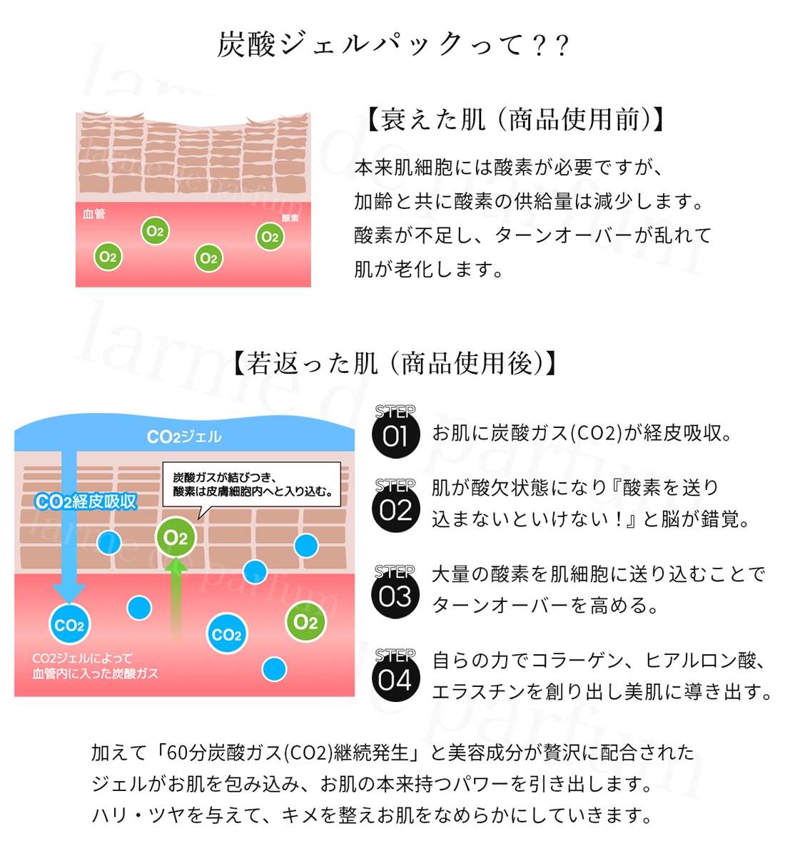 【楽天市場】＼P10倍／ 正規品 公認店 炭酸パック 炭酸ジェルパック 