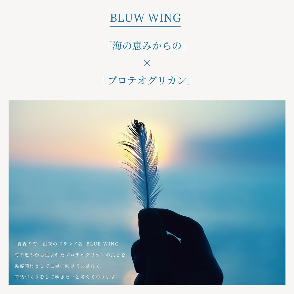 BLUE WING ブルーウイング PGオールインワンゲルクリーム 100gプロテオグリカン コラーゲン ヒアルロン酸 セラミド