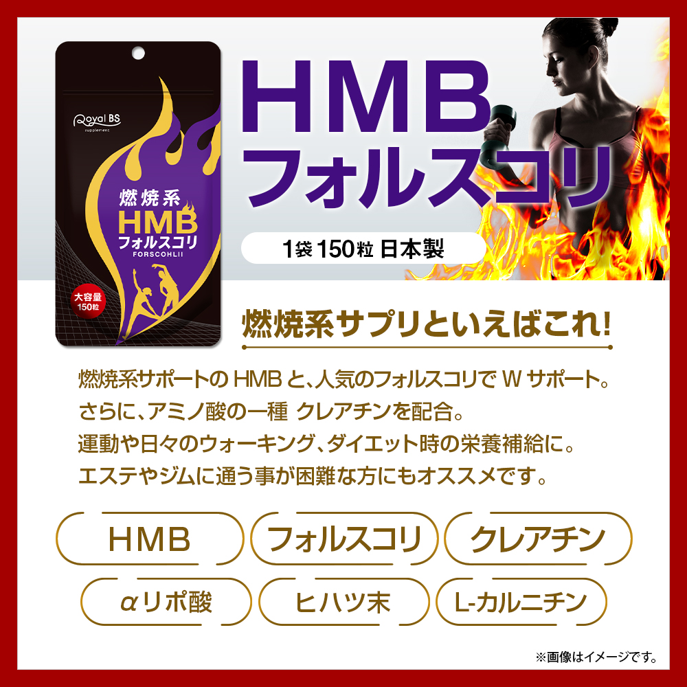 燃焼系×筋活応援 HMB＆BCAA 福袋[ネコポス対応商品]HMBフォルスコリ アミノ酸BCAA HMB フォルスコリ アミノ酸 サプリ BCAA タブレット 大容量 燃焼系 RoyalBS 日本製 【⭐︎お値下げ大特化⭐︎】