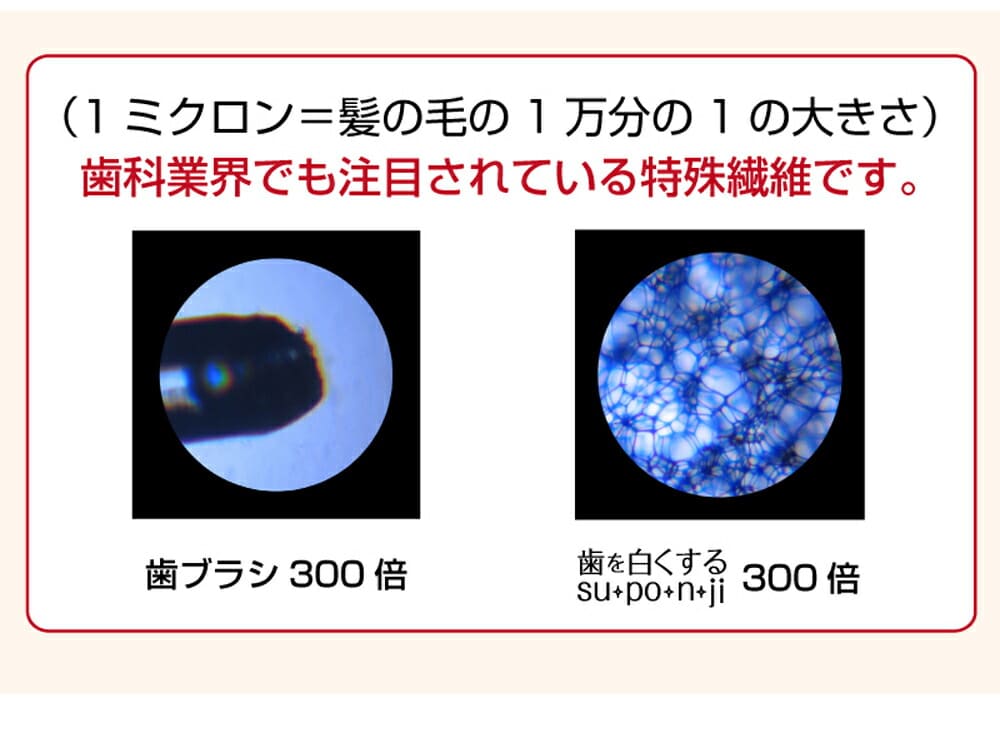 楽天市場】歯を白くするスポンジsu・po・n・ji 歯 ホワイトニング : いい肌発信！美・サイエンス