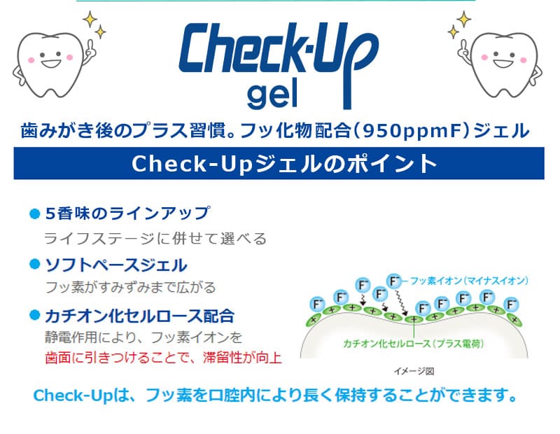 ライオン チェックアップ ジェル 60g Check-Up gel 医薬部外品 × 10本ピーチ グレープ レモンティー 歯科専売 チェックアップジェル フッ素 オーラルケア マウス 口腔ケア デンタルケア う蝕 むし歯 即納・送料無料