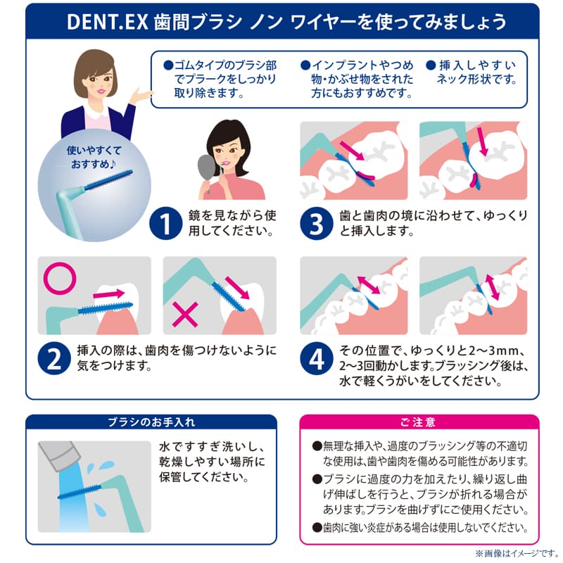 ライオン DENT.EX 歯間ブラシ 院内指導用 40本入<br>歯科専売 歯間 歯