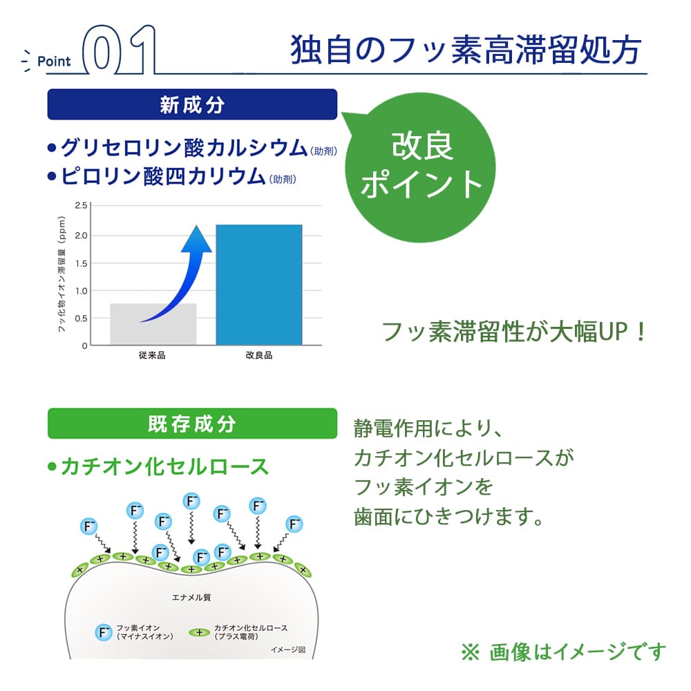 【ポイント10倍】8/4 20:00-8/11 1:59 ※要エントリーライオン チェックアップ スタンダード マイルドピュアミント / マイルドシトラスミント 医薬部外品 135g × 各3本 計6本チェックアップスタンダード Check Up standard LION デント 歯磨き [値下げ！！]