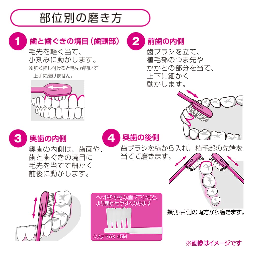 ライオン システマ AX 歯ブラシ 12本歯科専売 歯科用 歯ブラシ ハブラシ LION ライオン DENT. Systema AX システマAX 歯周 ケア