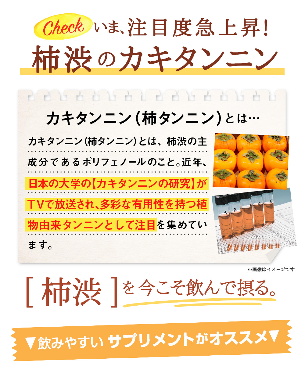 楽天市場】◇柿渋フレッシュ 90粒◇[メール便対応商品]柿渋 カキタンニン 柿タンニンサプリメント エチケット 健康 ポリフェノールサプリ_rbs20th  : いい肌発信！美・サイエンス