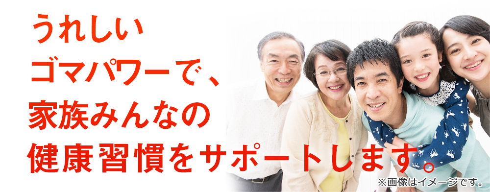 業務用 セサミン 180粒 約3ヶ月分[メール便対応商品]食事で不足 エイジングケア ごま セサミン ゴマ 胡麻 サプリメント 大容量 お徳用 健康 美容 RoyalBS 日本製