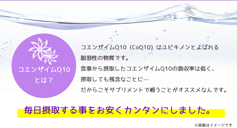 コエンザイムQ10 約6ヵ月分[メール便対応商品]エイジングケア ベースサプリメント ユビキノン コエンザイム q10 coq10 サプリメント 大容量 お徳用 健康 美容 RoyalBS 日本製