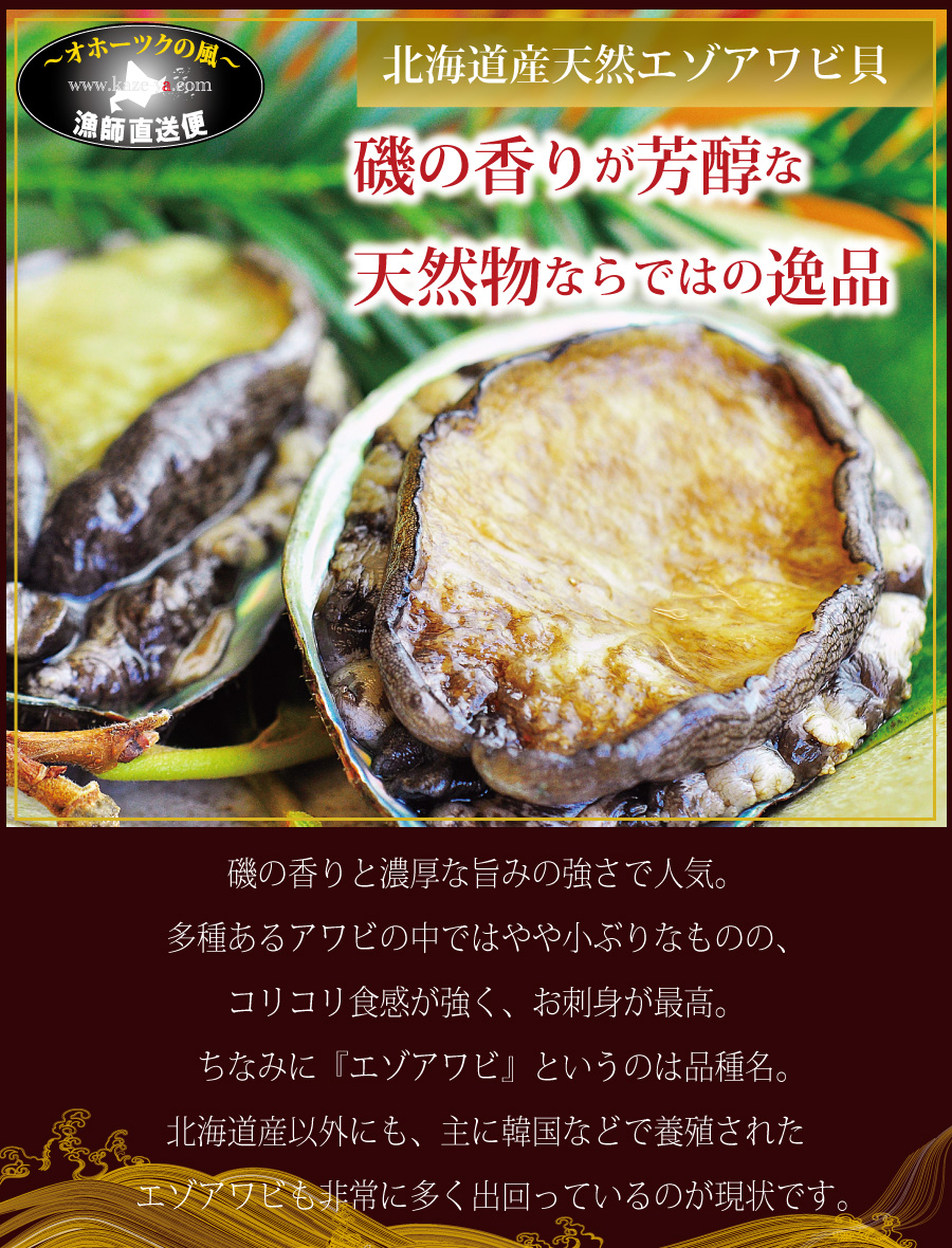 楽天市場 北海道産天然エゾアワビ お刺身用 活冷凍2個 えぞあわび 蝦夷アワビ北海道 あわび 活 アワビ 活 えぞあわび エゾ鮑 刺し身 海鮮 北海道物産展 お中元 オホーツクの風 海老蟹いくら専科