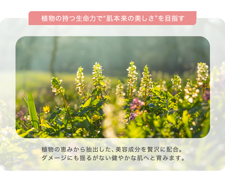 phiten 美顔器 ゴールド ポーチ付き 売れ筋ランキングも 楽天市場】ファイテン（美顔器｜美顔器