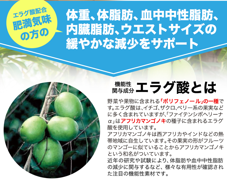 ファイテン シボヘリーナα(機能性表示食品)【メール便】 エラグ酸 サプリ 内臓脂肪 サプリメント おなか 脂肪 中性脂肪 体脂肪 サポート 中性脂肪サプリ 桑葉 キトサン デキストリン お得なセット割