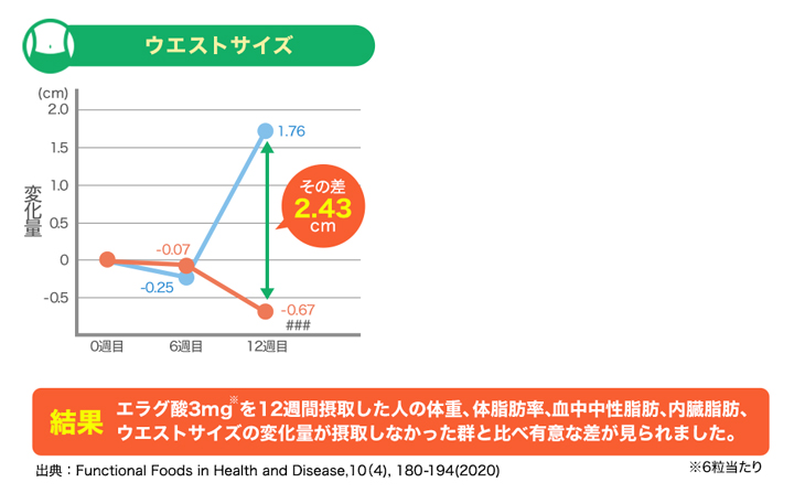 ファイテン シボヘリーナα(機能性表示食品)【メール便】 エラグ酸 サプリ 内臓脂肪 サプリメント おなか 脂肪 中性脂肪 体脂肪 サポート 中性脂肪サプリ 桑葉 キトサン デキストリン お得なセット割