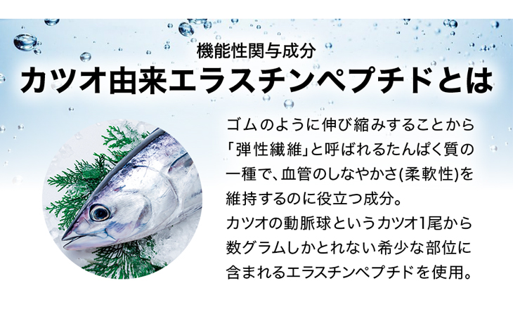 ファイテン しなやかルート(機能性表示食品)【メール便】サプリメント 粒 血管 しなやか カツオ由来エラスチンペプチド アルギニン マカ スッポン しょうが 生姜 1ヵ月分 血管 柔軟性 アミノ酸 ポリフェノール