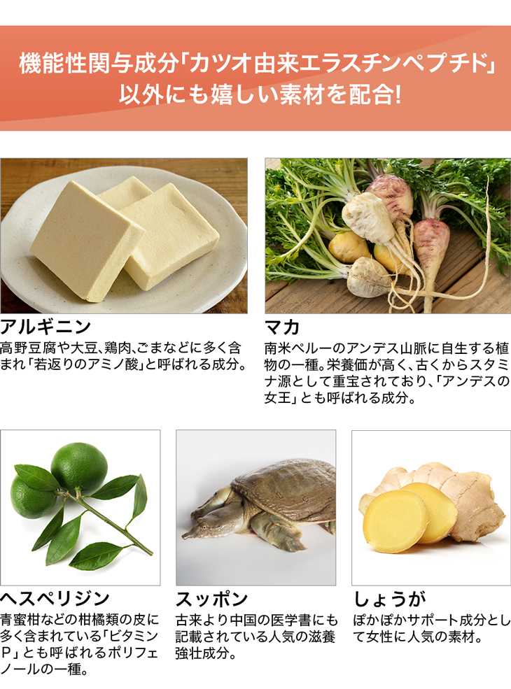 ファイテン しなやかルート(機能性表示食品)【メール便】サプリメント 粒 血管 しなやか カツオ由来エラスチンペプチド アルギニン マカ スッポン しょうが 生姜 1ヵ月分 血管 柔軟性 アミノ酸 ポリフェノール