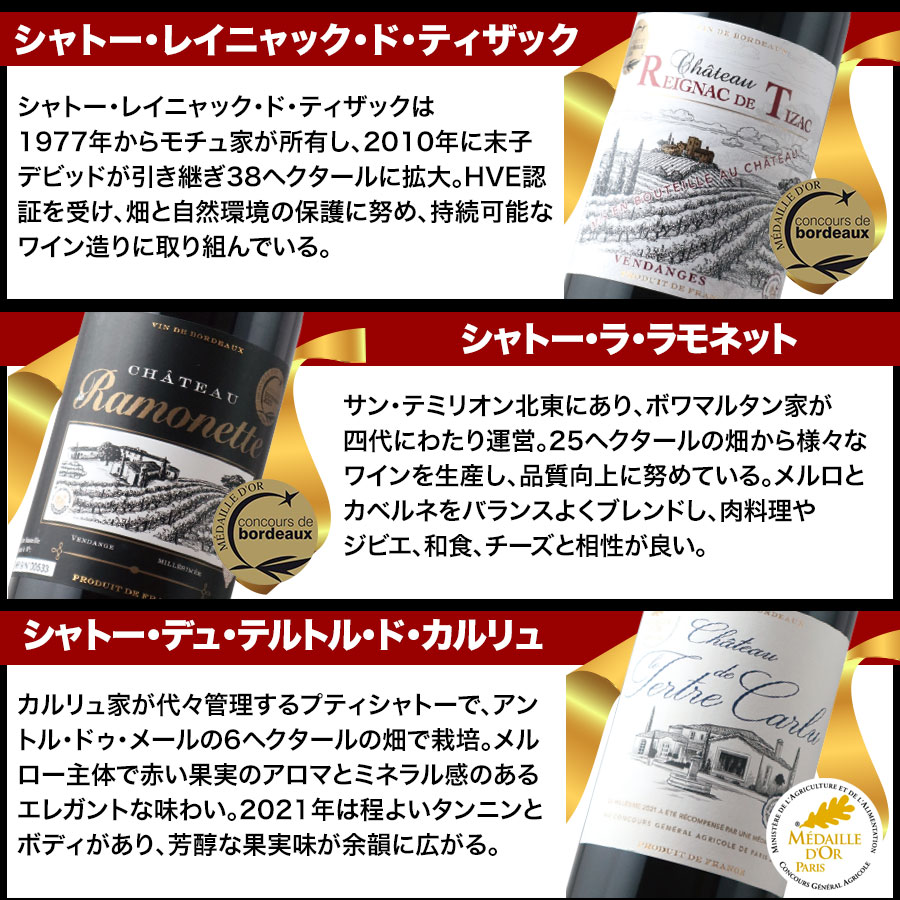 ボルドー金賞 AO格付け　赤 12本セット 750ml 格上含むフランスボルドー金賞赤ワイン 12本飲み比べセット(B
