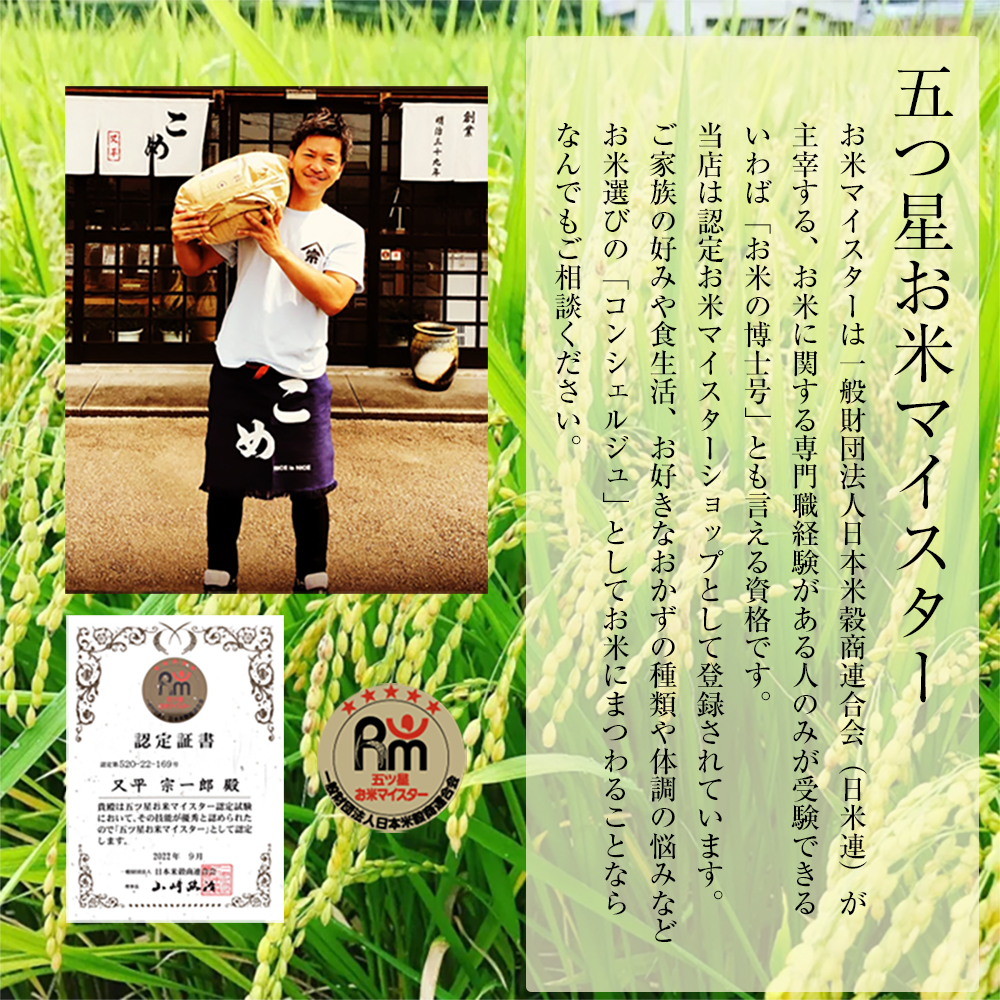 [山形県 庄内産]玄米 つや姫[新米 令和5年産][3kg 5kg 10kg]つやひめ 米 お米 3キロ 5キロ 10キロ 5kg×2 送料無料 税込