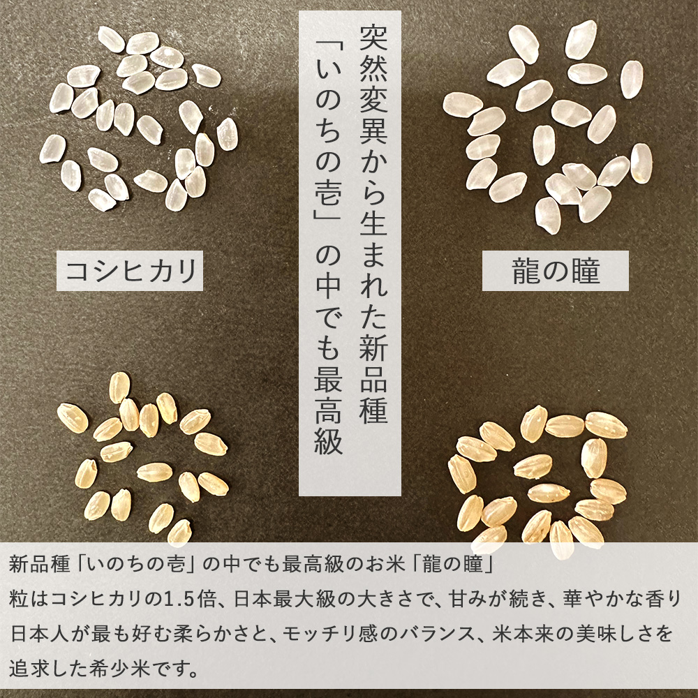 [岐阜県飛騨産]玄米 龍の瞳[新米 令和5年産][3kg 5kg 10kg]希少 品種 りゅうのひとみ いのちの壱  米 お米 単一原料米 3キロ 5キロ 10キロ 5kg×2 送料無料 買取 価格 相場