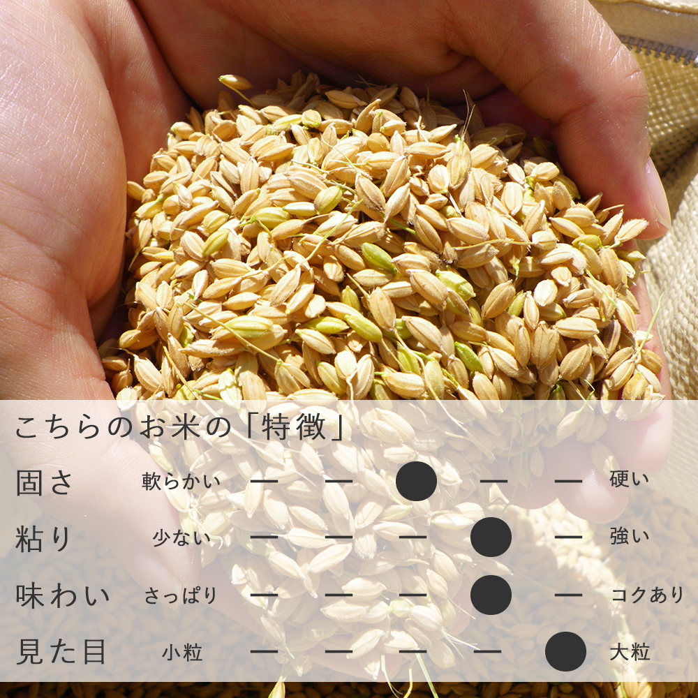 [新潟県産]玄米 新之助[新米 令和5年産][3kg 5kg 10kg]しんのすけ 新の助 米 お米 単一原料米 3キロ 5キロ 10キロ 5kg×2 送料無料 日本売れ筋ランキング