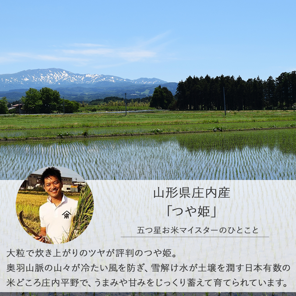 [山形県 庄内産]玄米 つや姫[新米 令和5年産][3kg 5kg 10kg]つやひめ 米 お米 3キロ 5キロ 10キロ 5kg×2 送料無料 税込