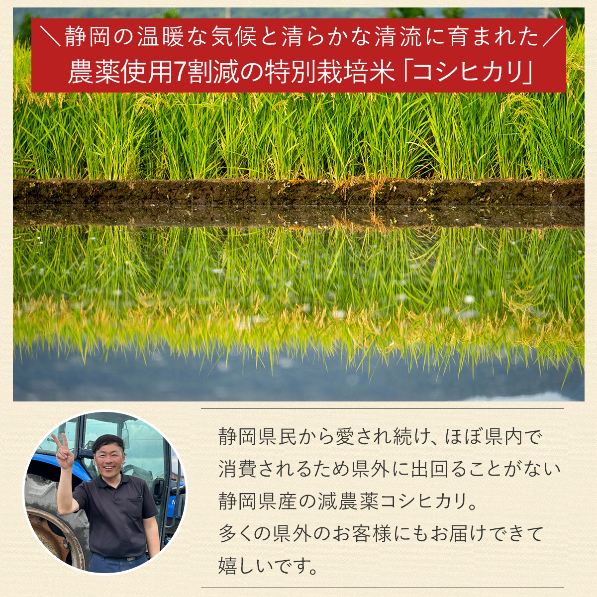 【早い者勝ち！クーポンで最大400円OFF】【新米 令和6年産】農薬7割減 特別栽培米 コシヒカリ 産地直送[静岡県産][3kg 5kg 10kg][お好みに合わせて精米]こしひかり 減農薬 農薬減 米 コメ お米 白米 精米 分づき 単一原料米 3キロ 5キロ 10キロ 5kg×2 送料無料 本日セール